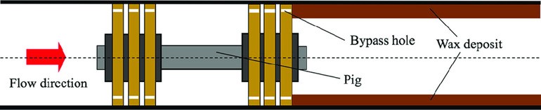 Speed Control Cleaning Pig (SCP) Project, June 2019