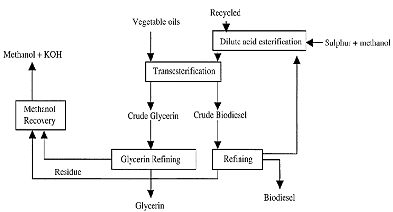 Figure 1 Process scheme of TAG conversion to yield alkyl fatty acids