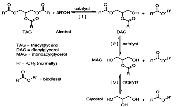 Figure 2. Transesterification method that produces fatty acid alkyl esters