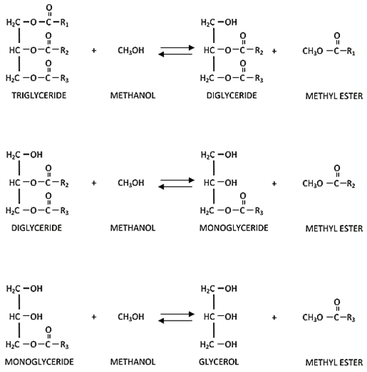 Figure 3. The three individual steps of the transesterification reaction