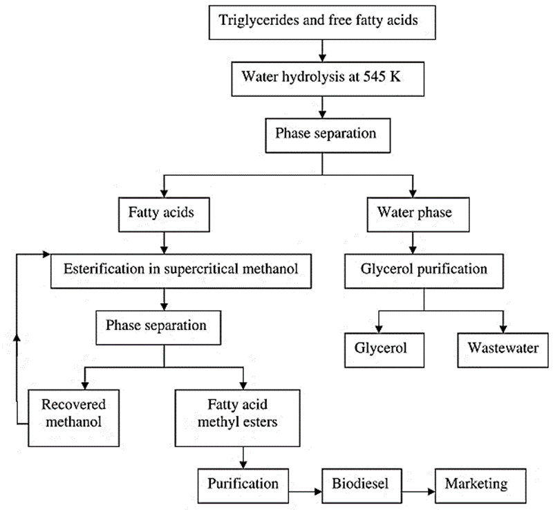Figure 4. Process Scheme of supercritical methanol transesterification