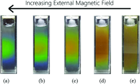 Unleashing the Power of Smart Materials: A Comprehensive Review 14 Figure 6 Fe3O4 nanoparticles fluid color changing phenomenon with increasing magnetic field
