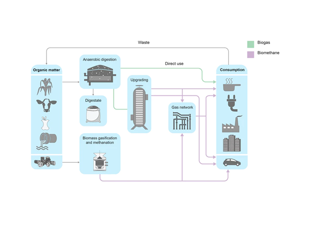 Integrating Biogas and Biomethane Into Circular Economy 9 fIGURE 3